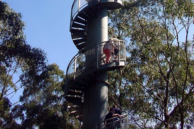 12 Apostles and Otway Fly Zipline Day Trip from Melbourne - Otway Fly turns the afternoon into an adventure