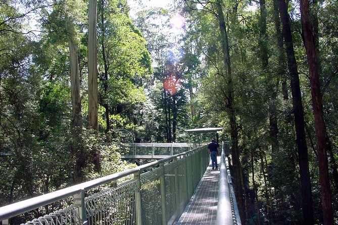 12 Apostles and Otway Fly Zipline Day Trip from Melbourne - The return to Melbourne is long but simple