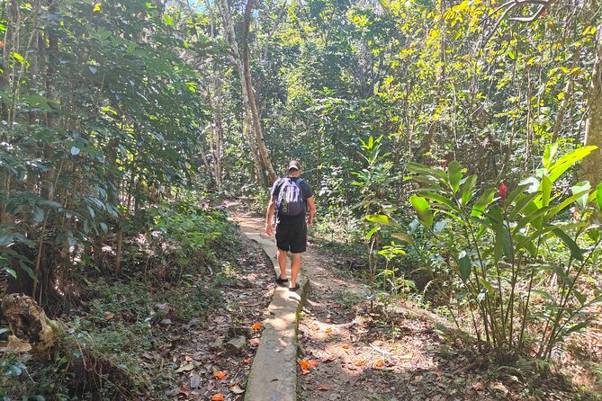 16 Lines Zipline, Cave, Hiking & Biausevu Waterfall Combo Tour - Why the transport and timing matter