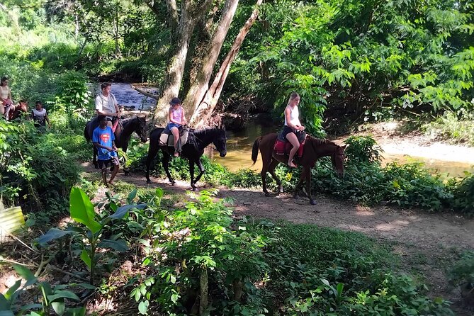16 Lines Zipline, Cave, Hiking & Biausevu Waterfall Combo Tour - What lunch and the included costs add