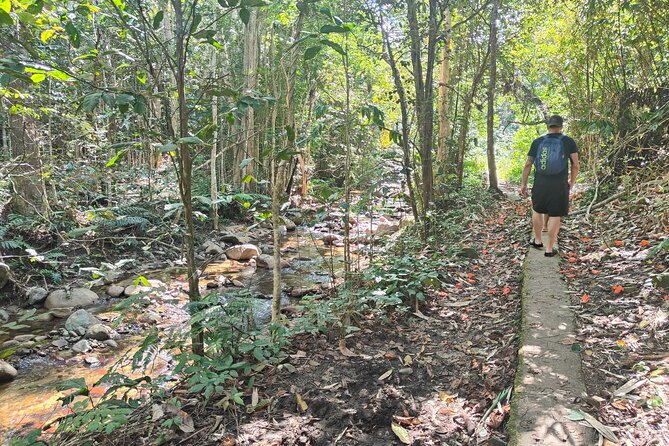 16 Lines Zipline, Cave, Hiking & Biausevu Waterfall Combo Tour - Booking, cancellation, and weather details