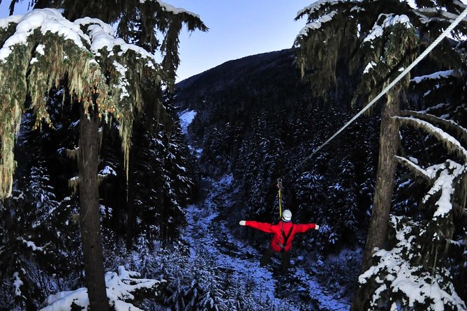 2 Hour Late Afternoon Winter Zipline Adventure - Meeting at Carleton Lodge in Whistler Village