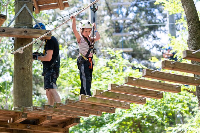3-Hour Ropes Course & Zip Line Adventure - Arriving at Trinity Forest Adventure Park