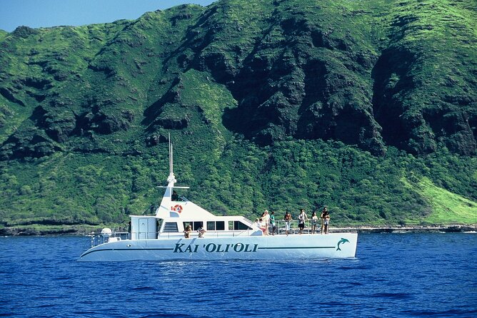 3 Zipline Adventure and 3.5 hour Afternoon Snorkel Cruise - The Hawaiian buffet lunch