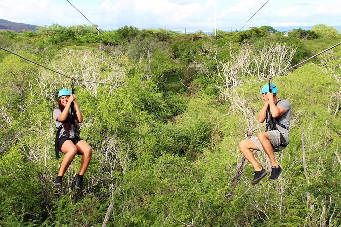 3 Zipline Adventure at Coral Crater with Optional Waikiki Shuttle - Price and the value of the short format