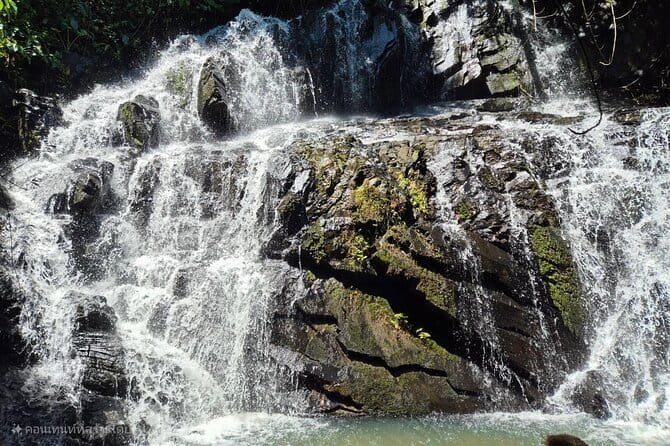 4 Element Day with Zipline Adventure Expedition - Two hours at Tarzan Adventure Phuket
