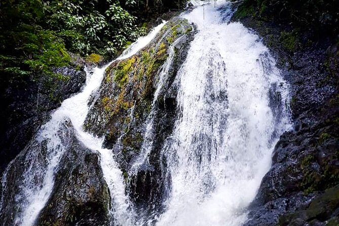 5 Hour Off-Road ATV+ Zipline+ Waterfall Rappelling+ Tractor Jungle Tour - Waterfall Rappelling: The Biggest Thrill