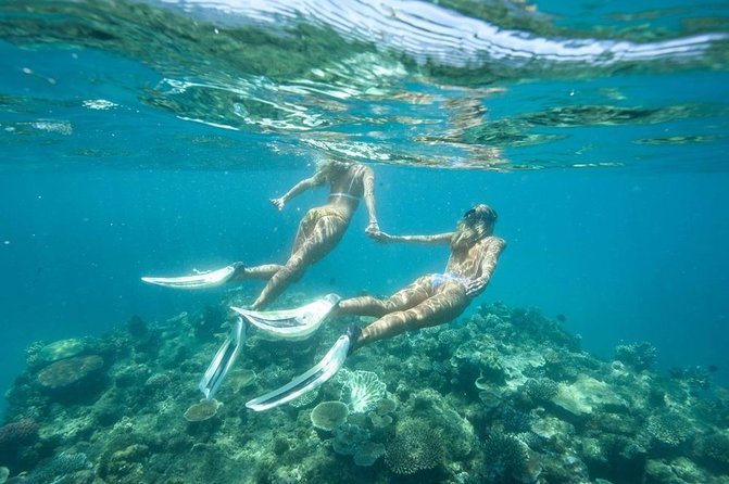 5-in-1 Adventure in Cancun: ATVs, Ziplines, Speed Boat, Snorkel and Cenote Swim - Who should book this active day?
