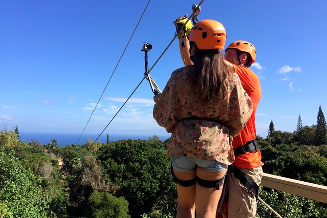5 Line Jungle Zipline Eco Adventure - Five things to know before you book