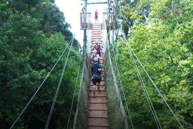 6 Dual-Zipline Mountain Adventure in Maui - Guides make the difference for nervous first-timers