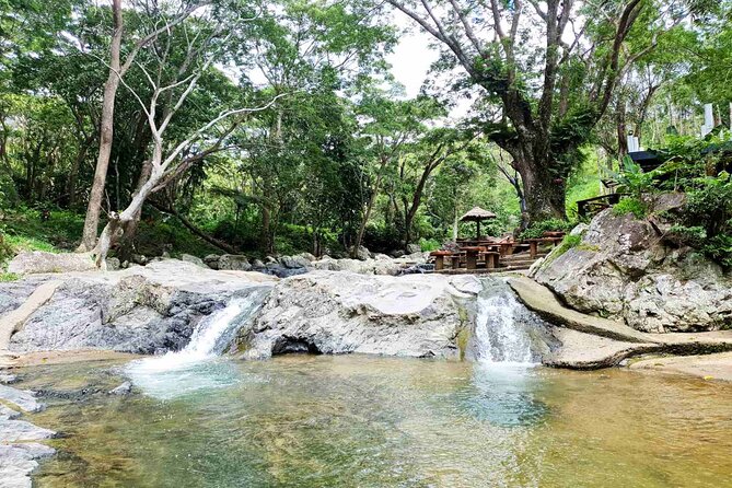 6 Hours Giant Zipline Adventure Park in Fiji - Safety, instructions, and the pace of the ride