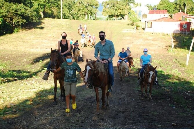 6 in 1 tours Full Day Safari, Zipline, Buggies and Horse Riding - Horseback riding: pleasant, but do not expect a long trek