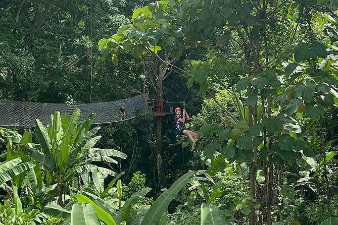 7 Hour Sticky Waterfall and Zipline Adventure - What this Chiang Mai adventure actually delivers