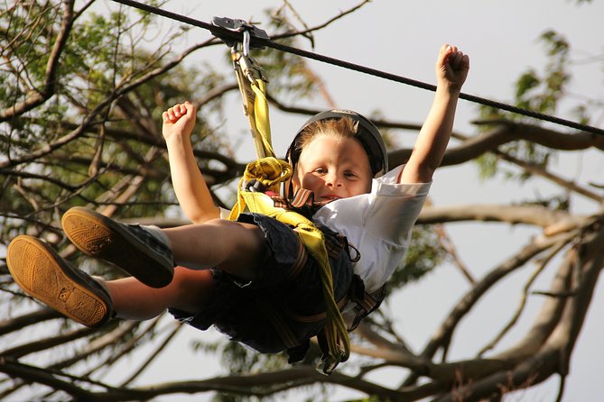 7-Line Maui Zipline on the North Shore - Transportation and Timing Matter