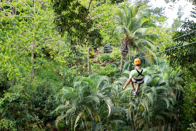 Adrena-Line Zipline, St. Lucia - Safety is the strongest part of the experience