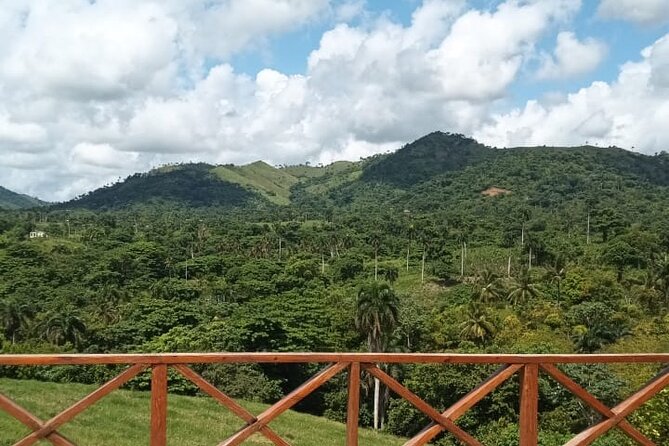 Adrenaline Total: Zipline Tour in Punta Cana - Pickup makes the half-day plan easier