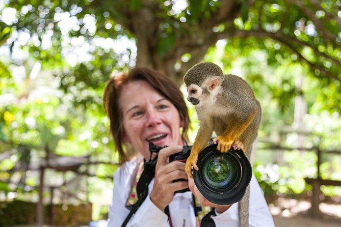 Adventure Bundle: Monkeyland, Ziplines & Buggies Punta Cana - Buggy riding through mud and mountain roads