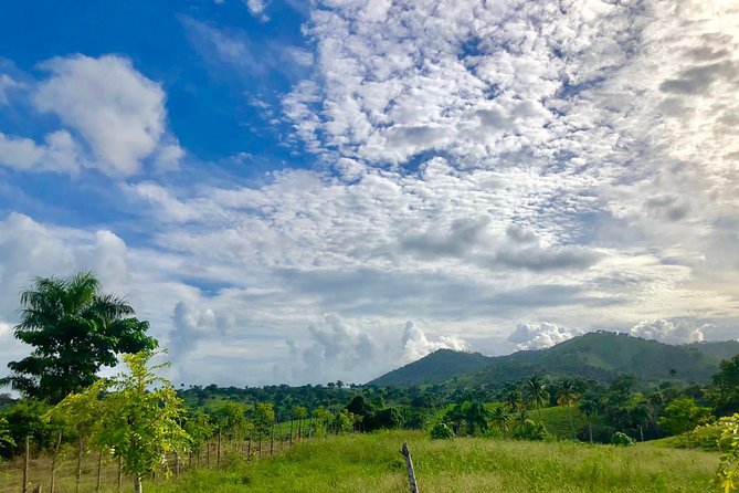 Adventure Bundle: Monkeyland, Ziplines & Buggies Punta Cana - Who should book this Punta Cana adventure?