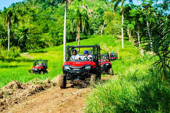 Adventure Bundle: Monkeyland, Ziplines & Buggies Punta Cana - Twelve zip lines with a proper safety setup