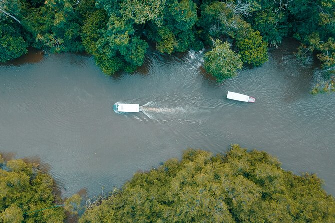 Adventure Combo Tour: Zipline adventure and Tortuguero Canals - Cruising the Tortuguero Canals from Moin Dock