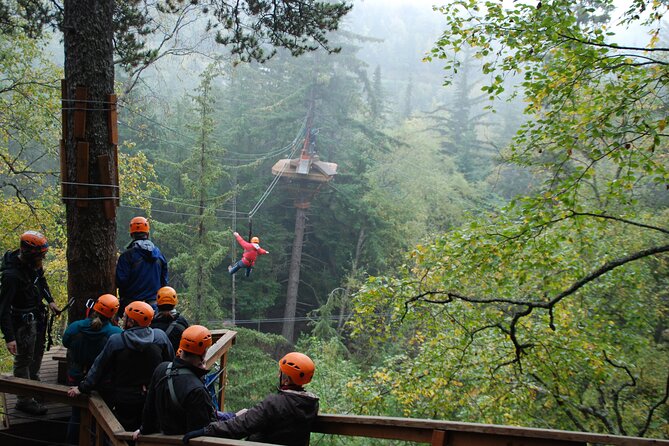 Adventure Parks & Zipline Tour - Key points to know before booking