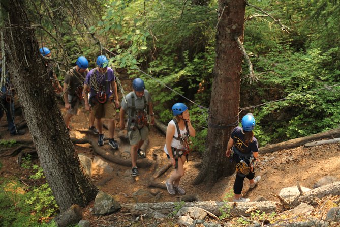 Adventure Parks & Zipline Tour - From the Port of Skagway to the Klondike Highway