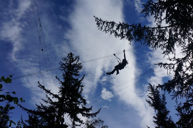 Adventure Parks & Zipline Tour - Is $203.74 a fair price?