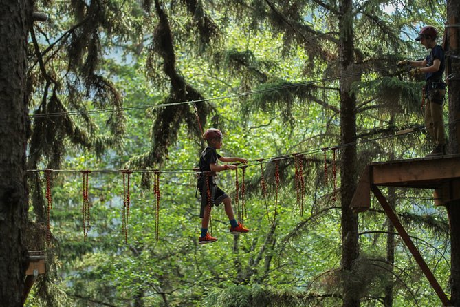 Adventure Parks & Zipline Tour - Safety gear, orientation, and the first forest challenges