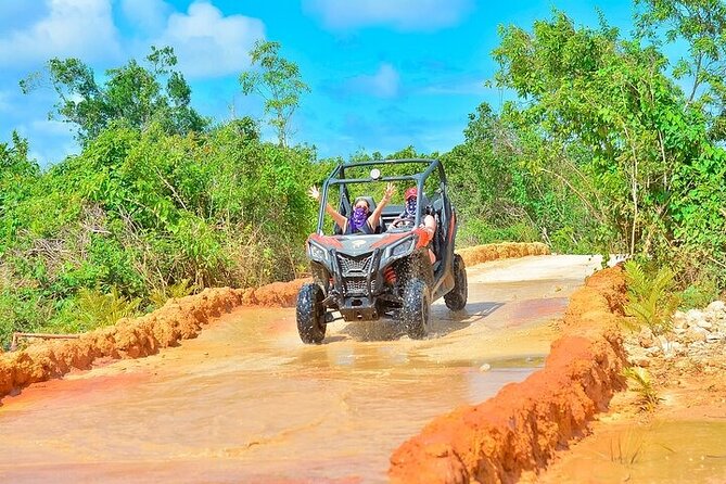 Adventure Tour con Buggies Ziplining Cenote y Taino Culture - Coffee, cacao, and mamajuana at the tasting stop