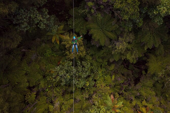 Adventurous Zipline Tour in Coromandel - The 18-minute railway ride uphill