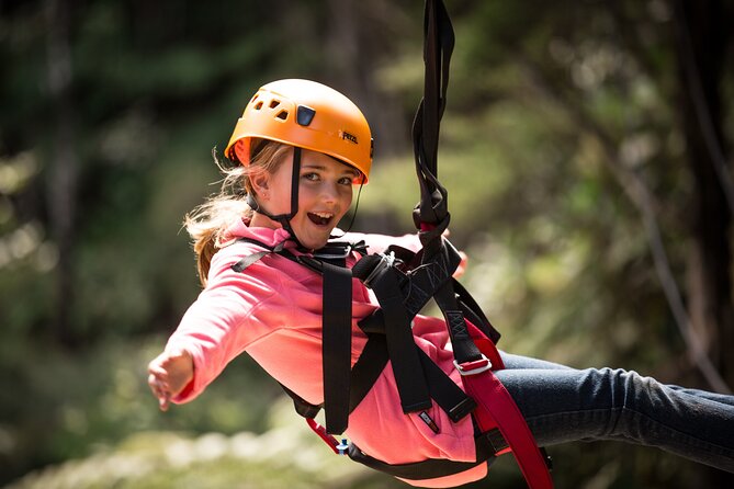 Adventurous Zipline Tour in Coromandel - Eight ziplines through trees and gullies