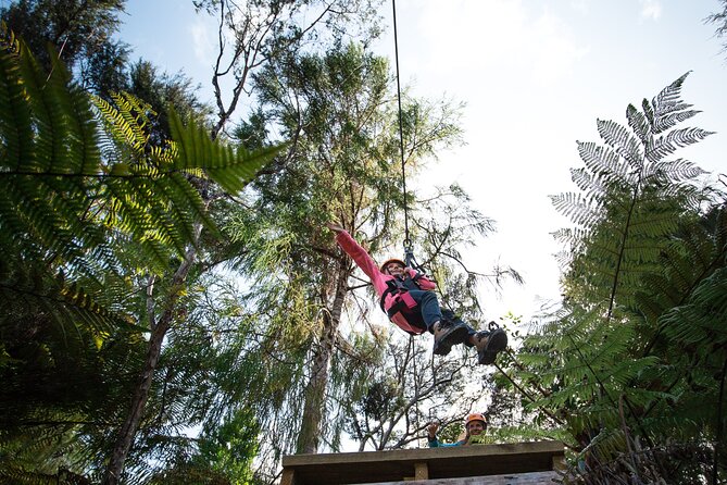 Adventurous Zipline Tour in Coromandel - Walking beneath the ferns
