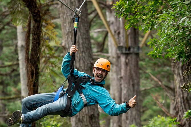 Adventurous Zipline Tour in Coromandel - Guides who make first-timers comfortable