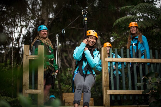 Adventurous Zipline Tour in Coromandel - A conservation project with a practical purpose