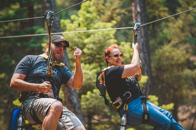 All-Day Guided Zipline Tour with Train Ride and Lunch in Durango - Five and a Half Hours at Soaring Tree Top Adventures