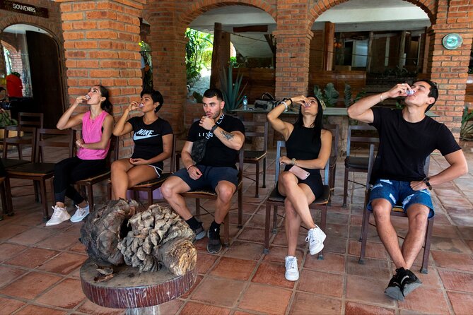 All-in-one PV Experience: Suspension bridge, Quads, Buggies, Ziplines and Mules - El Salto waterfall and the mule ride