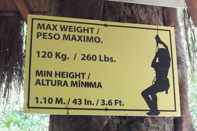 All Weather Adventure: Ziplines, Single ATVs, and Cenote - Group size, pace, and the feel of the day