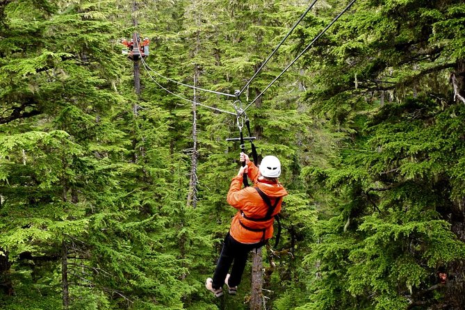 Alpine Zipline Adventure in Juneau, AK - Key points to know before booking