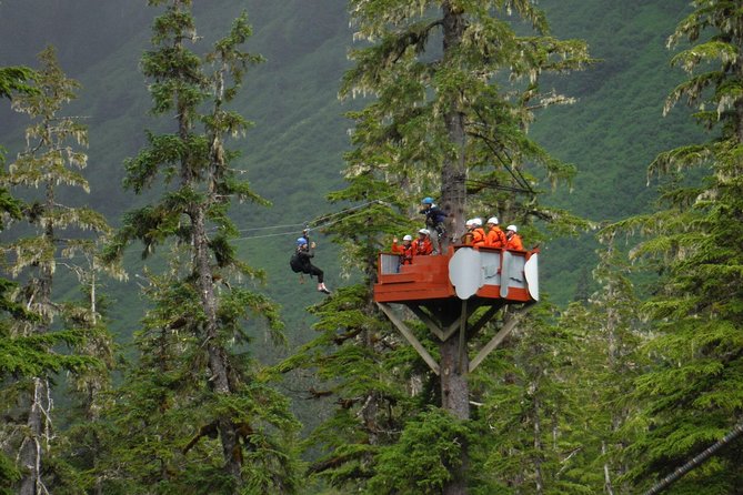 Alpine Zipline Adventure in Juneau, AK - About ten ziplines through Tongass forest
