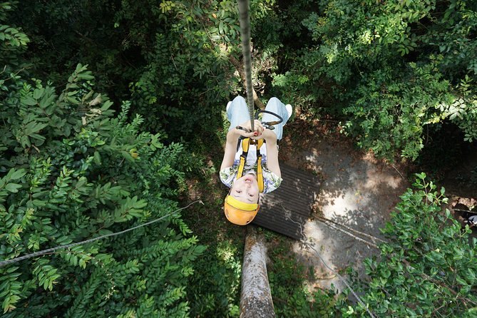 Angkor Wat Park Zip Line Adventure in Siem Reap - Entering Angkor Park for a different kind of morning
