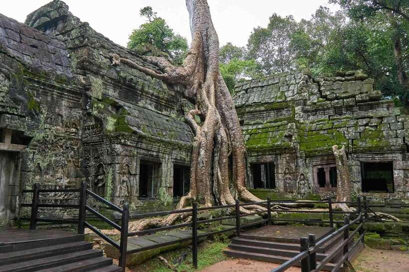 Angkor Zipline and Temple Tour with Sunset - What the Silver zipline course is really like
