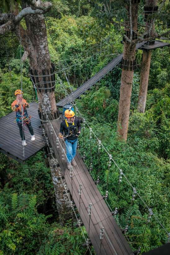 Angkor Zipline and Temple Tour with Sunset - Guide quality, group size, and the private-tour question