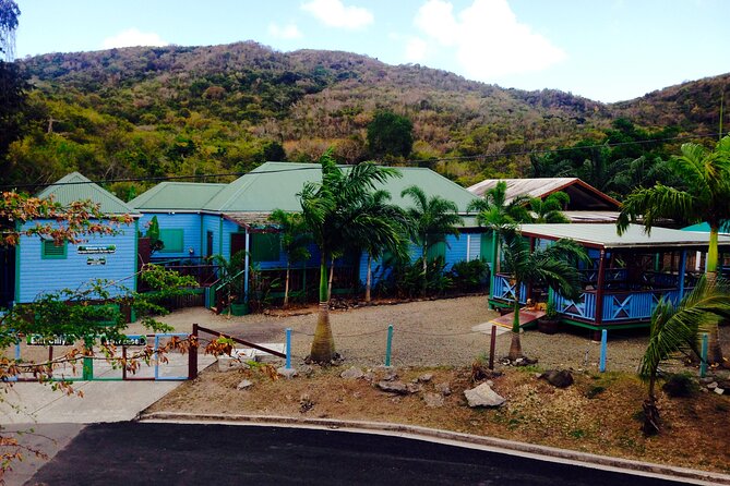 Antigua Zipline Canopy Adventure from St John’s - The final stairs are the real test