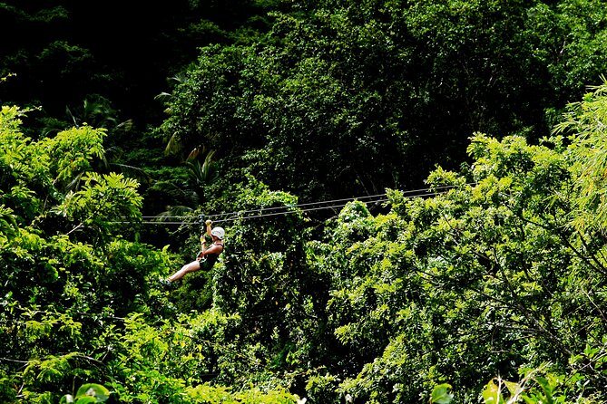 Antigua Zipline Canopy Adventure from St John’s - Who should book this Antigua adventure?