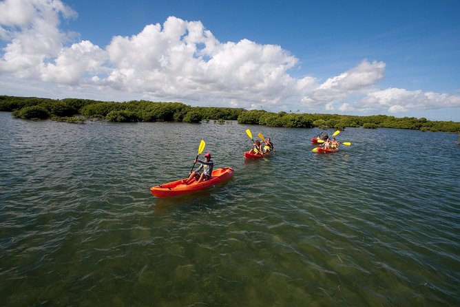 Antigua Zipline & Kayaking Combo From St. John's - Why this combo works for an active day in Antigua