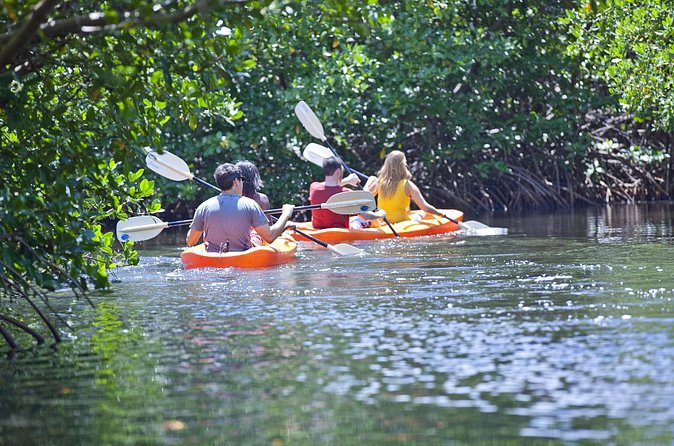 Antigua Zipline & Kayaking Combo From St. John's - Eco-kayaking through Antigua’s mangroves