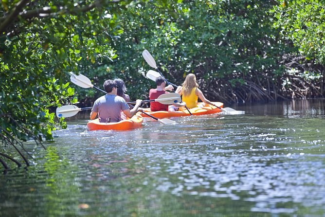 Antigua Zipline & Kayaking Combo From St. John's - Who should book this Antigua adventure