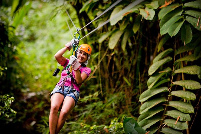 Antigua Zipline & Kayaking Combo From St. John's - Fig Tree Drive and the rainforest zipline course