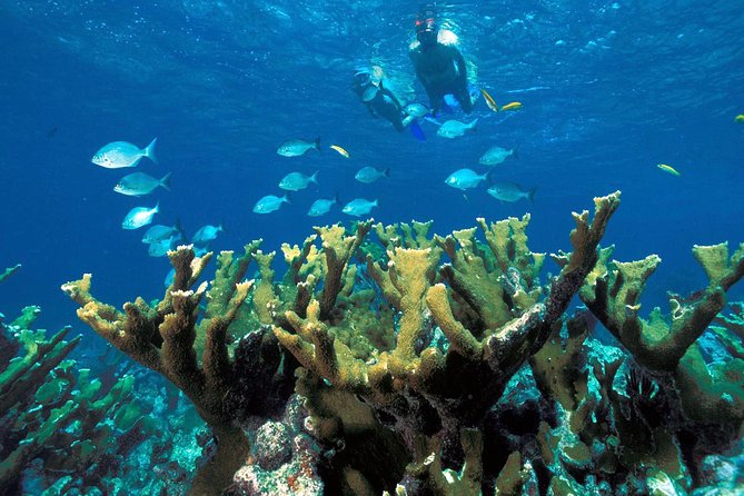 ATV Adventure Combo with Snorkeling, Ziplines, Cenote, and Lunch - The extra costs that change the value
