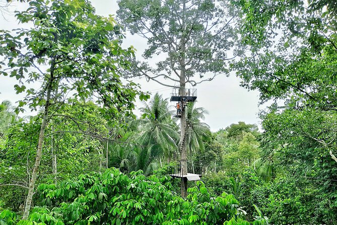 ATV And Zipline Experience on Koh Samui with Transfer - What the ATV ride feels like for different age groups